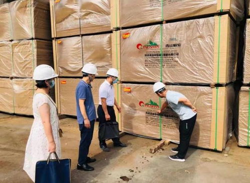 崇左市市場監(jiān)管局深入實(shí)施四大戰(zhàn)略，全面提升家具生產(chǎn)質(zhì)量水平